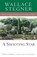 A Shooting Star, Wallace Stegner - Paperback - 9780140252415