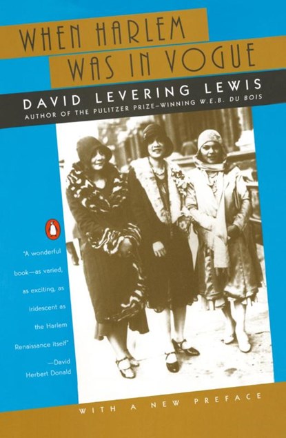 When Harlem Was in Vogue, David Levering Lewis - Paperback - 9780140263343