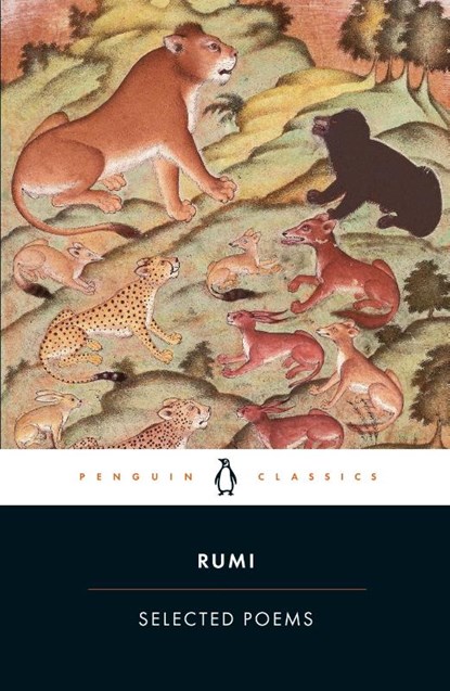 Selected Poems, Rumi - Paperback - 9780140449532