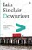 Downriver, Iain Sinclair - Paperback - 9780141014852