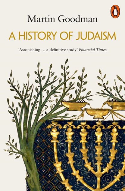 A History of Judaism, Martin Goodman - Paperback - 9780141038216