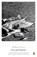 Love and Summer, William Trevor - Paperback - 9780141042190