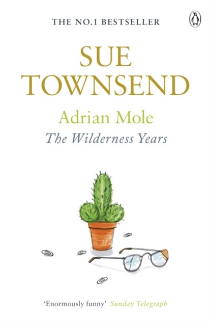 Adrian Mole: The Wilderness Years, Sue Townsend - Paperback - 9780141046457