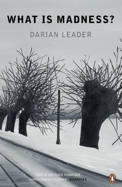 What is Madness?, Darian Leader - Paperback - 9780141047355
