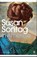 In America, Susan Sontag - Paperback - 9780141190105