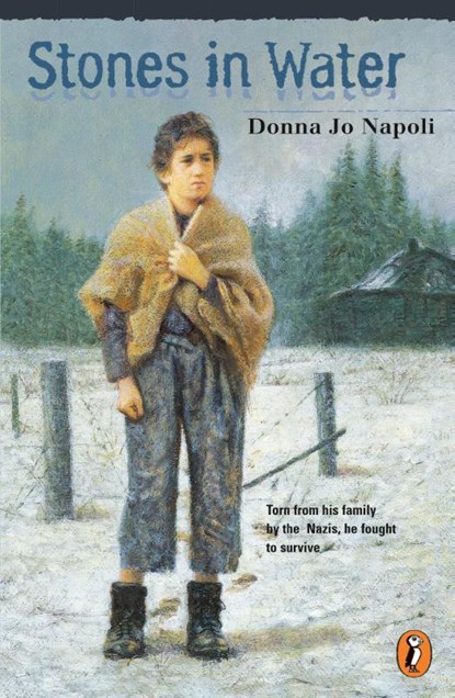 Stones in Water, Donna Jo Napoli - Paperback - 9780141306001