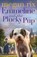 Emmeline and the Plucky Pup, Megan Rix - Paperback - 9780141385709