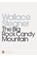 The Big Rock Candy Mountain, Wallace Stegner - Paperback - 9780141392349
