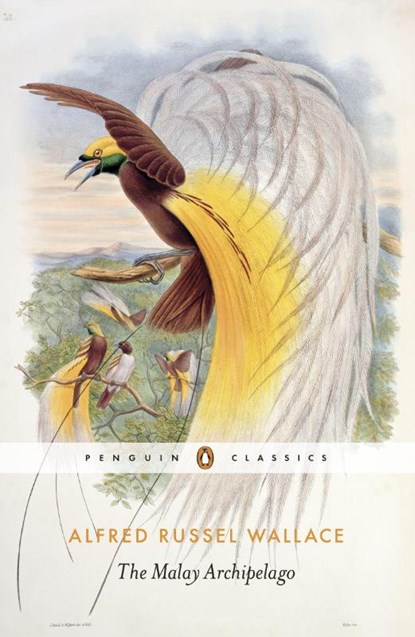 The Malay Archipelago, Alfred Russel Wallace - Paperback - 9780141394404