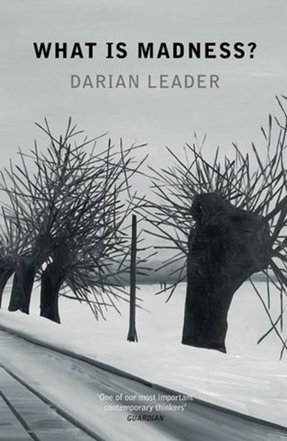 What is Madness?, Darian Leader - Ebook - 9780141955780