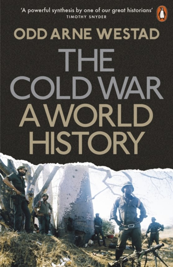 The cold war: a world history