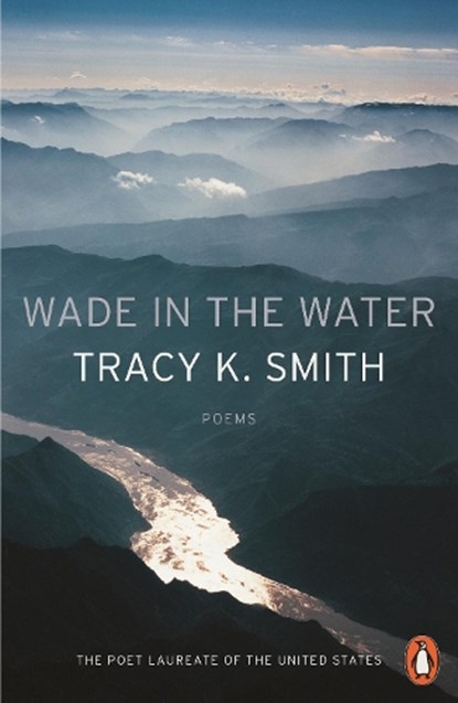 Wade in the Water, Tracy K. Smith - Paperback - 9780141987842