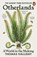 Otherlands, Thomas Halliday - Paperback - 9780141991146