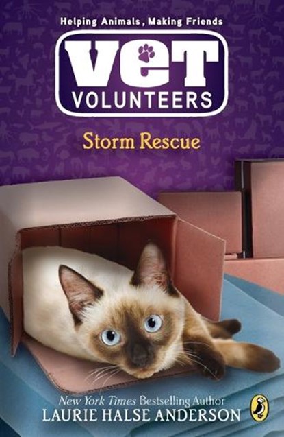 Storm Rescue, Laurie Halse Anderson - Paperback - 9780142411018
