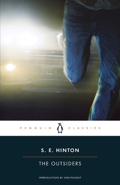 The Outsiders, S. E. Hinton - Paperback - 9780143039853