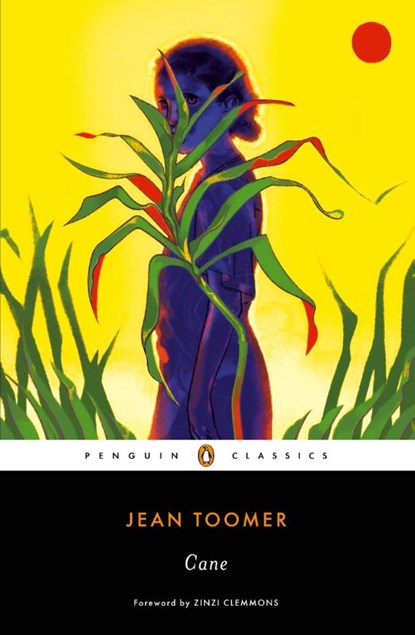 Cane, Jean Toomer - Paperback - 9780143133674