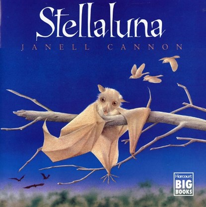 Stellaluna (Big Book), Janell Cannon - Paperback - 9780152015404