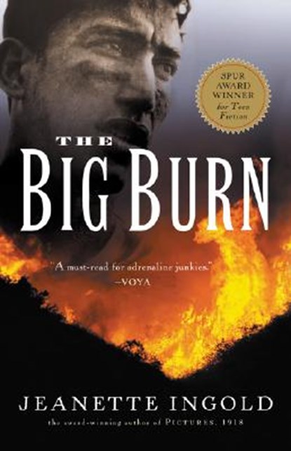The Big Burn, Ingold Jeanette Ingold - Paperback - 9780152049249