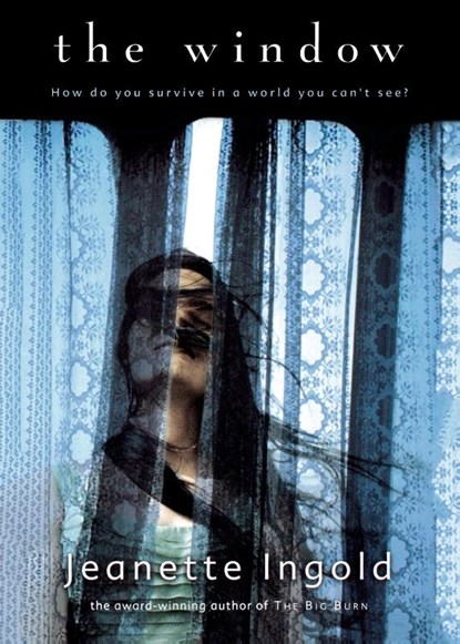 The Window, Jeanette Ingold - Paperback - 9780152049263