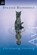 Strange Happenings, Avi Avi - Paperback - 9780152064617