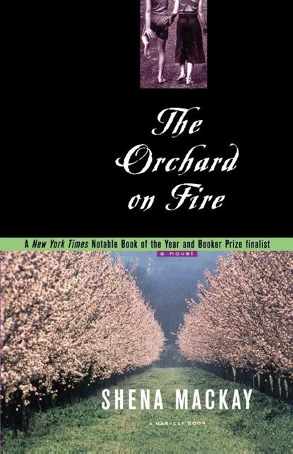 Orchard on Fire, Shena Mackay ; Mackay - Paperback - 9780156005326