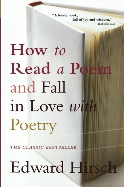 How to Read a Poem, Edward Hirsch - Paperback - 9780156005661