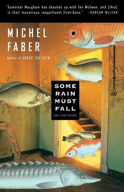 Some Rain Must Fall, Michel Faber - Paperback - 9780156011488