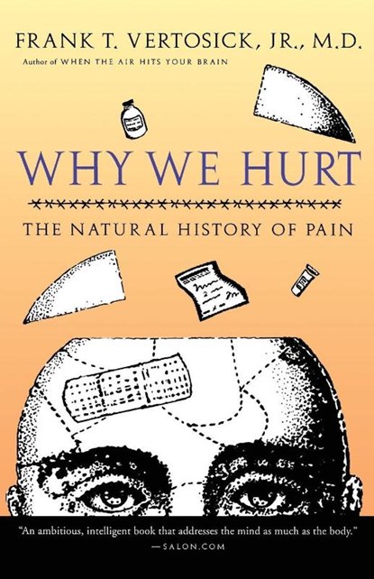 Why We Hurt, Frank T. Jr. Vertosick - Paperback - 9780156014038