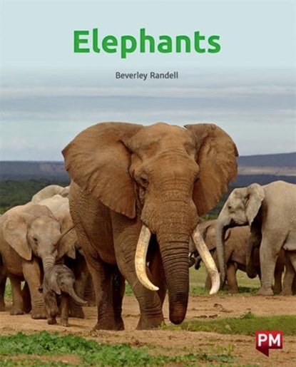 ELEPHANTS, BEVERLEY RANDELL - Paperback - 9780170328623