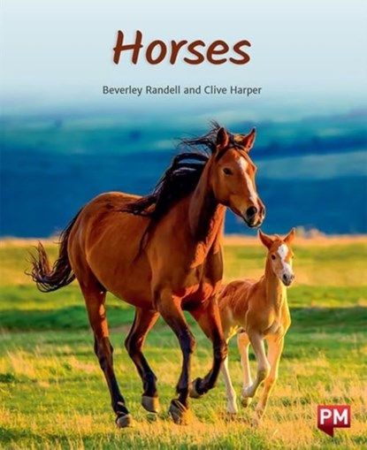 HORSES, BEVERLEY RANDELL - Paperback - 9780170328913