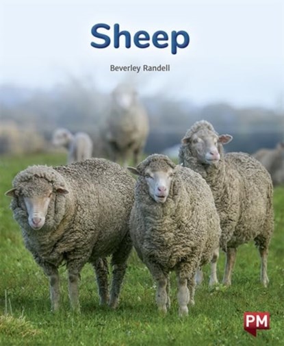 SHEEP, BEVERLEY RANDELL - Paperback - 9780170328920