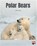POLAR BEARS, SALLY COWAN - Paperback - 9780170329286