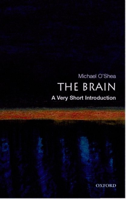 The Brain: A Very Short Introduction, MICHAEL (,  Director, Sussex Centre for `euroscience, University of Sussex) O'Shea - Paperback - 9780192853929