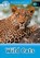Oxford Read and Discover: Level 1: Wild Cats, Editor - Paperback - 9780194646352