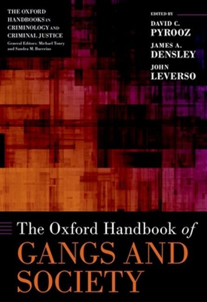 The Oxford Handbook of Gangs and Society, JOHN (ASSISTANT PROFESSOR,  Assistant Professor, University of Cincinnati) Leverso - Gebonden - 9780197618158