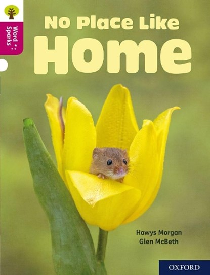 Oxford Reading Tree Word Sparks: Level 10: No Place Like Home, Hawys Morgan - Paperback - 9780198496908