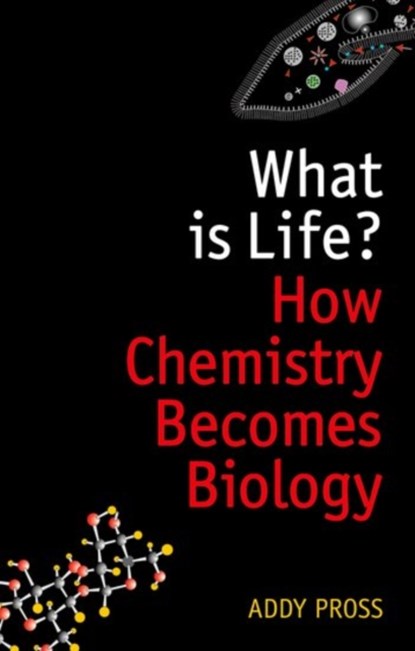 What is Life?, ADDY (PROFESSOR OF CHEMISTRY,  Department of Chemistry, Ben-Gurion University of the Negev) Pross - Paperback - 9780198784791