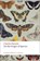 On the Origin of Species, Charles Darwin - Paperback - 9780199219223
