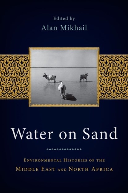 Water on Sand, Alan (Assistant Professor of History Mikhail - Paperback - 9780199768660