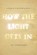 How the Light Gets In, Pat Schneider - Paperback - 9780199933983