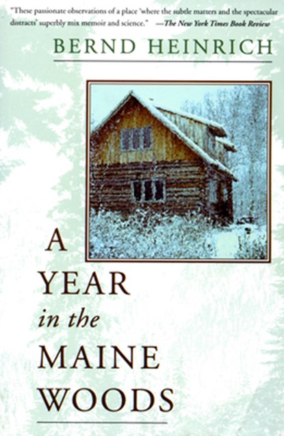 A Year in the Maine Woods, Bernd Heinrich - Paperback - 9780201489392