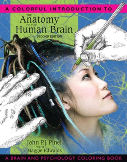 Colorful Introduction to the Anatomy of the Human Brain, A, John Pinel ; Maggie Edwards - Paperback - 9780205548743