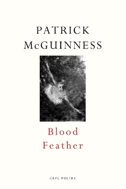 Blood Feather, Patrick McGuinness - Paperback - 9780224098311
