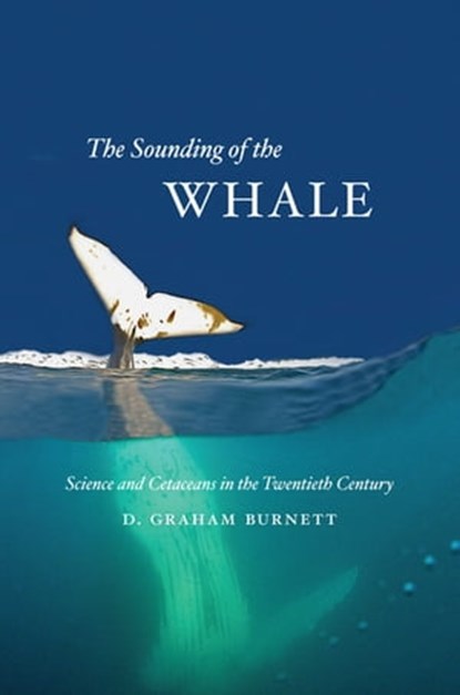 The Sounding of the Whale, D. Graham Burnett - Ebook - 9780226081335