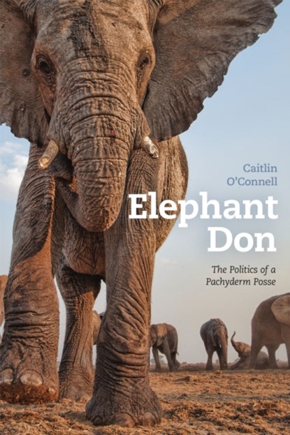 Elephant Don, Caitlin O'Connell - Gebonden Gebonden - 9780226106113