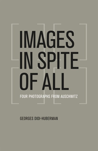 Images in Spite of All, Georges Didi-Huberman - Paperback - 9780226148175
