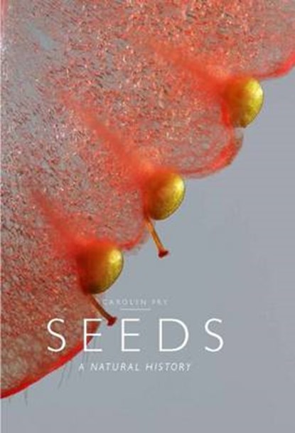 Seeds, FRY,  Carolyn - Overig - 9780226224350