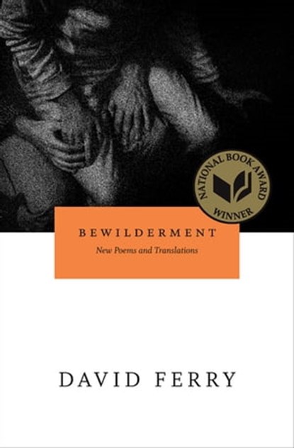 Bewilderment, David Ferry - Ebook - 9780226244907
