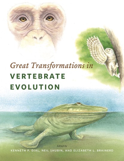 Great Transformations in Vertebrate Evolution, Kenneth P. Dial ; Neil Shubin ; Elizabeth L. Brainerd - Paperback - 9780226268255