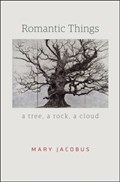 Romantic Things | Mary Jacobus | 